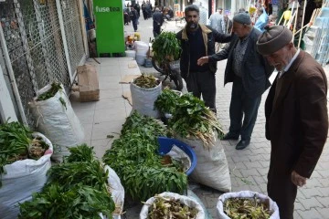Siirt'te Doğal Bitkiler Rağbet Görüyor
