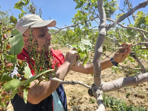 Siirt'te Dolu Ve Şiddetli Yağış Sonrası Saha Taramaları Devam Ediyor
