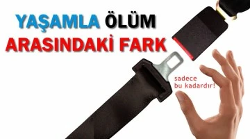 Siirt'te Emniyet Kemeri Kullanım Oranı Açıklandı! Son 2 Yılda Büyük Artış