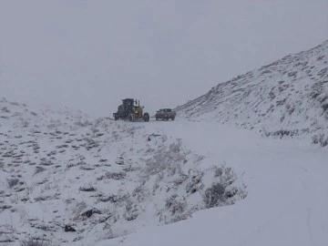 Siirt'te Geçittepe Kardan Kapandı