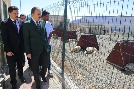 Siirt’te Hayvan Dostu Proje: 41 Dönümlük Alan, 700 Kapasiteli Bakımevi