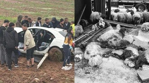 Siirt'te Hayvan Y&uuml;kl&uuml; Kamyonetle Otomobil &Ccedil;arpıştı: &Ouml;l&uuml; ve Yaralılar Var