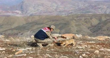 Siirt'te jandarma hayvan koruma timi göreve başladı