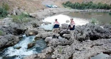 Siirt'te jandarma kaçak avcılara göz açtırmıyor