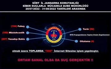 SİİRT’TE JANDARMA SİBER SUÇLARA GÖZ AÇTIRMADI