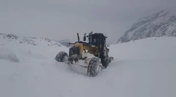 Siirt'te kar 14 köy yolunu ulaşıma kapattı