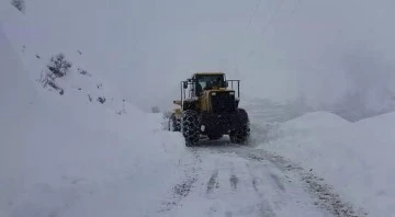 Siirt'te kar yolları kapattı