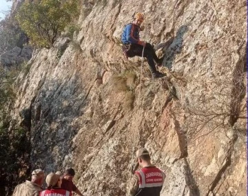 Siirt'te kayalıklarda mahsur kalan keçiler kurtarıldı