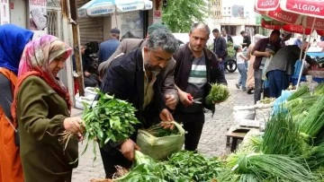 Siirt'te kenger ve sirik otu tezgâhlarda yerini aldı