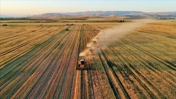 Siirt'te Kırsal Kalkınmada Hibe Başvuruları Sonuçlandı