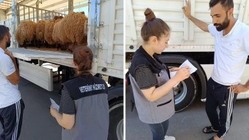 Siirt’te Kurban Bayramı Öncesi Hayvan Nakillerinde Sıkı Denetim