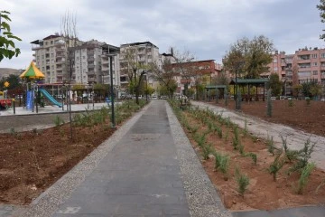 Siirt'te Millet Bahçesinde çalışmalarda sona gelindi