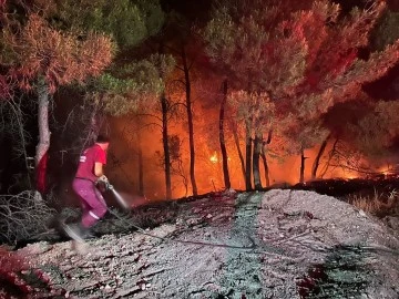 Siirt’te Ormanlık Alanlara Giriş İkinci Bir Duyuruya Kadar Yasaklandı