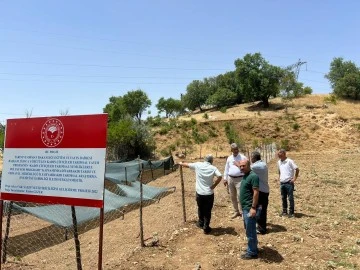Siirt’te Salep Üretimine Yönelik Yeni Adımlar: Teknik Geziyle Ergani Modeli İncelendi