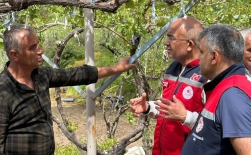 Siirt'te Tarım Ekiplerinden Dolu Mesaisi