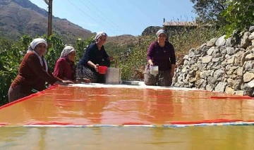 Siirt'te Üzüm Hasadıyla Beraber Pekmez ve Pestil Telaşı Başladı