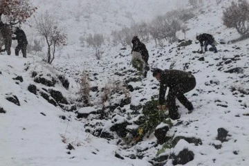 Siirt'te yaban hayvanları için doğaya yem bırakıldı