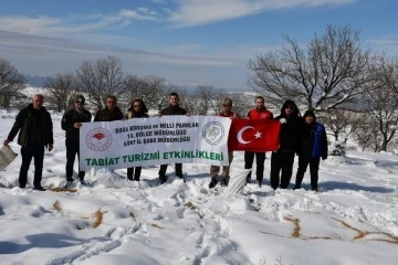 Siirt'te Yiyecek Bulmakta Zorluk Çeken Yaban Hayvanları İçin Doğaya Yem Bırakıldı