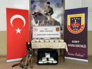 Siirt’te Yolcu Otobüsünde 40 Kilo Esrar Ele Geçirildi