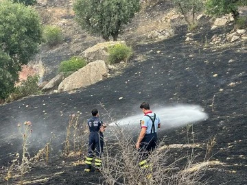 Siirt'teki Anız Yangınlarına Hızlı Müdahale