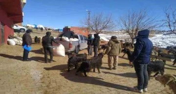 Siirt'ten deprem bölgesine 100 ton yem ve saman gönderildi