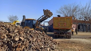 Siirt'ten deprem bölgesine ilk etapta 35 ton odun gönderilmeye başlandı