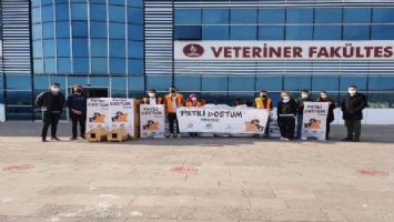 Siirt Üniversitesi &#039;Patili Dostum&#039; projesine başladı 