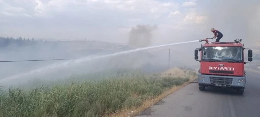 Siirt Üniversitesi Kezer Yerleşkesi Yakınlarında Anız Yangını: 100 Dönümden Fazla Alan Zarar Gördü