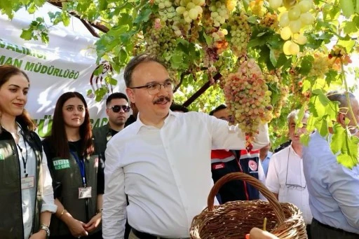 Siirt, Üzüm Üretiminde Türkiye’nin İlk 10’u Arasında!