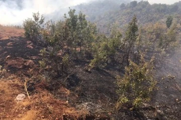 Siirt Valiliğinden Orman Yangınlarına Karşı Uyarı