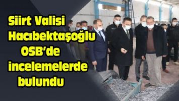 Siirt Valisi Hacıbektaşoğlu OSB&#039;de incelemelerde bulundu