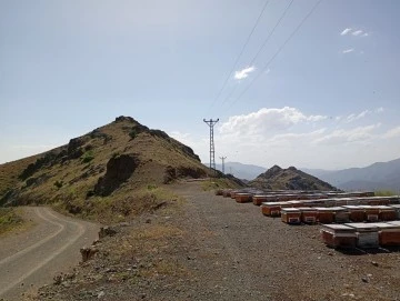 Siirt Valisi Talimat Verdi, Pervari Çavuşlu Köyü Arıcıları Yayla Yoluna Kavuştu