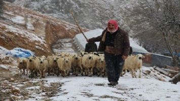 Siirt&#039;te göçerlerin kışla imtihanı 