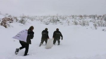 Siirt&#039;te yabani hayvanlar unutulmadı