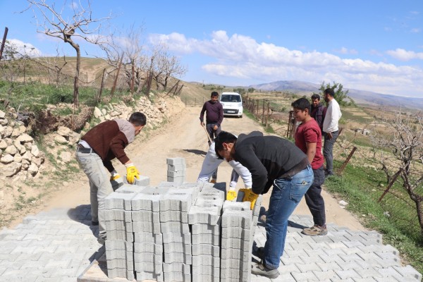 Siirt'te bağ yolları parke taşıyla döşeniyor