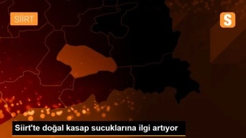 Siirt'te doğal kasap sucuklarına ilgi artıyor