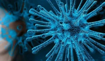 Son dakika: 25 Şubat koronavirüs tablosu açıklandı!