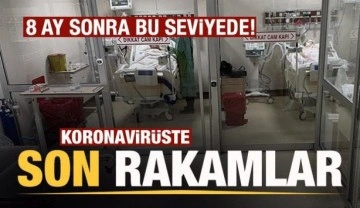 Son dakika: 31 Aralık koronavirüs tablosu açıklandı! 8 ay sonra o rakamı gördü