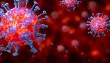 Son dakika: 8 Mart koronavirüs tablosu açıklandı!