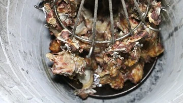 Tandırda pişen lezzet: Büryan kebabı