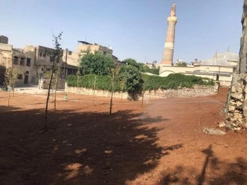 Tarihi Ulu Camii Etrafındaki Geçici Peyzaj  Çalışmaları Tamamlandı 