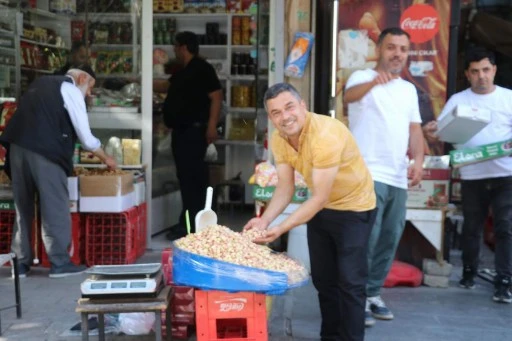 Taze Yeşil Fıstık 700 TL’den Satılıyor