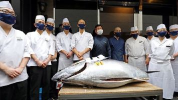 Tokyo&#039;daki balık pazarında geleneksel yeni yıl mezatı