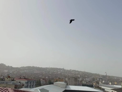 Toz Taşınımı Hayatı Olumsuz Etkiliyor