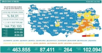 Türkiye'de 87 bin 411 kişinin Kovid-19 testi pozitif çıktı, 264 kişi yaşamını yitirdi
