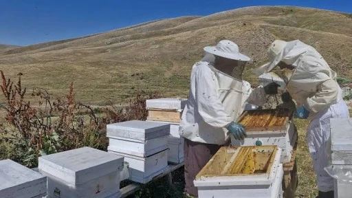 &Uuml;reticiler Pervari balının hasadı i&ccedil;in g&uuml;n sayıyor