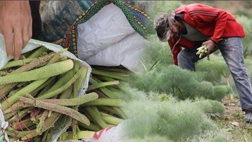 Siirt'te Yağışlar Fiyatları U&ccedil;urdu