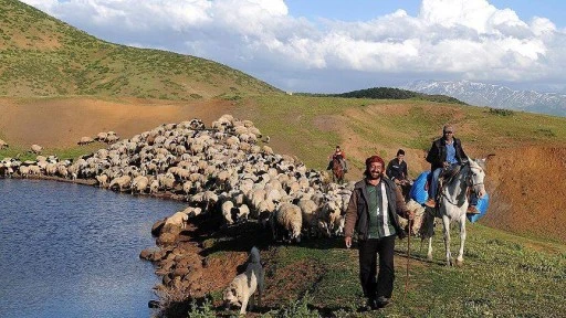 Yağışlardan dolayı yaylayı erteleyen besiciler, hazırlıklara başladı