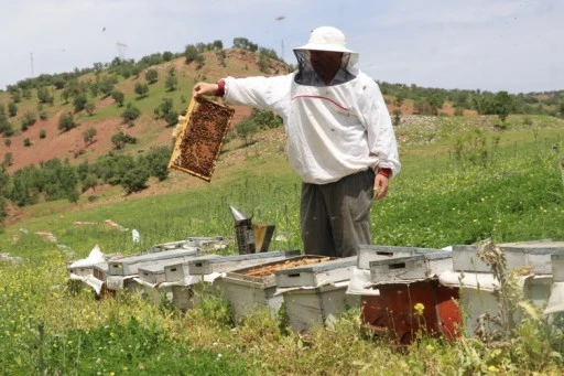 Yayla Yayla Gezip Bal &Uuml;retiyorlar