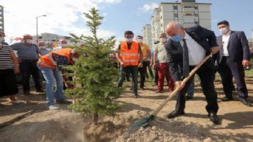 Yenimahalle&#039;de yatırımın büyüğü doğaya yapıldı